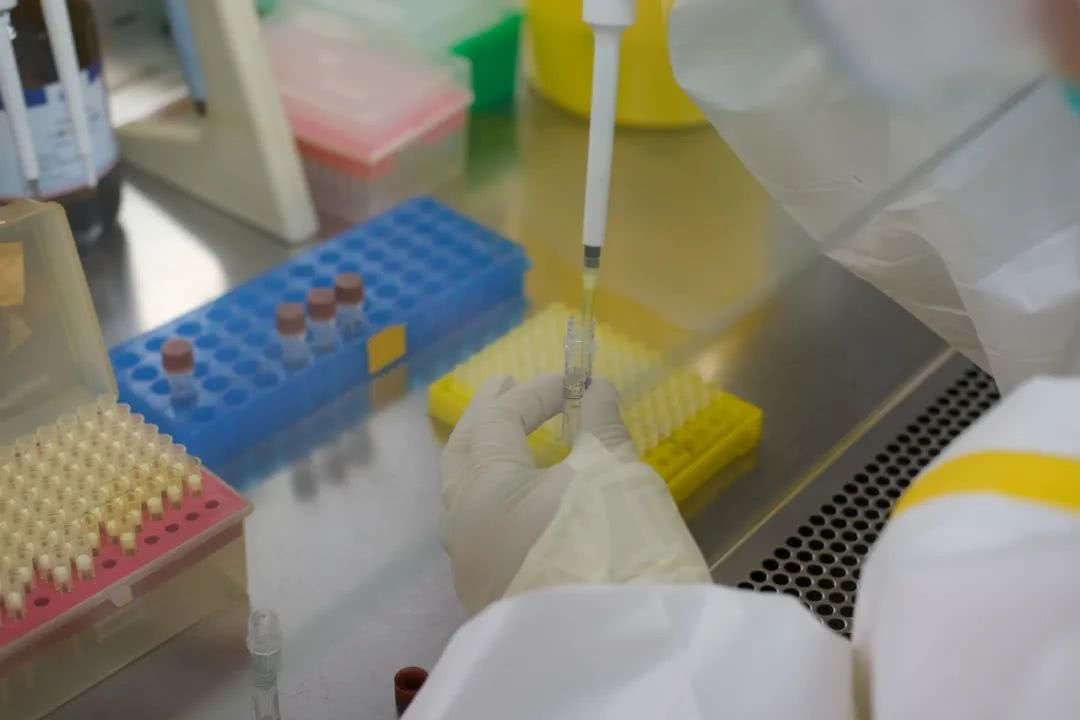 核酸檢測又降價(jià)！多地增設(shè)24小時(shí)檢測服務(wù)機(jī)構(gòu)